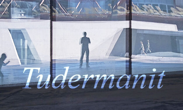 Γef tkutay d tira n umdan ɣef tudert-is