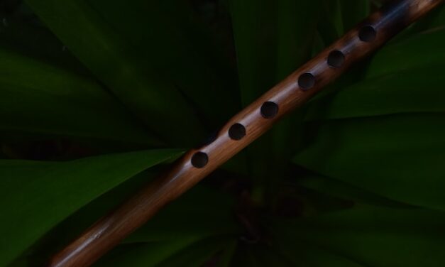 Idir Amer : TIBIRQECT