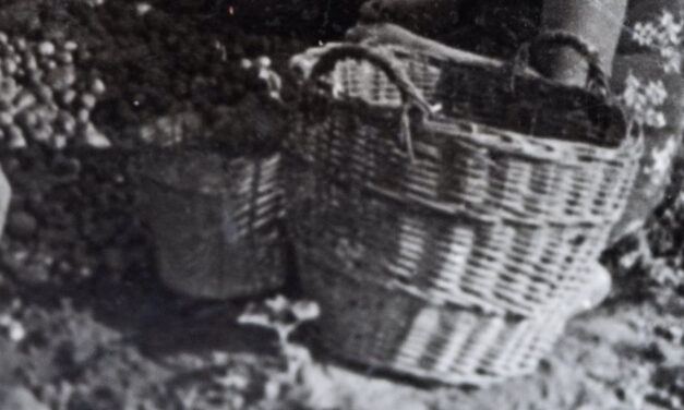 Takwat n Muḥ At Burenna Ipisitu  Ma tecfam…